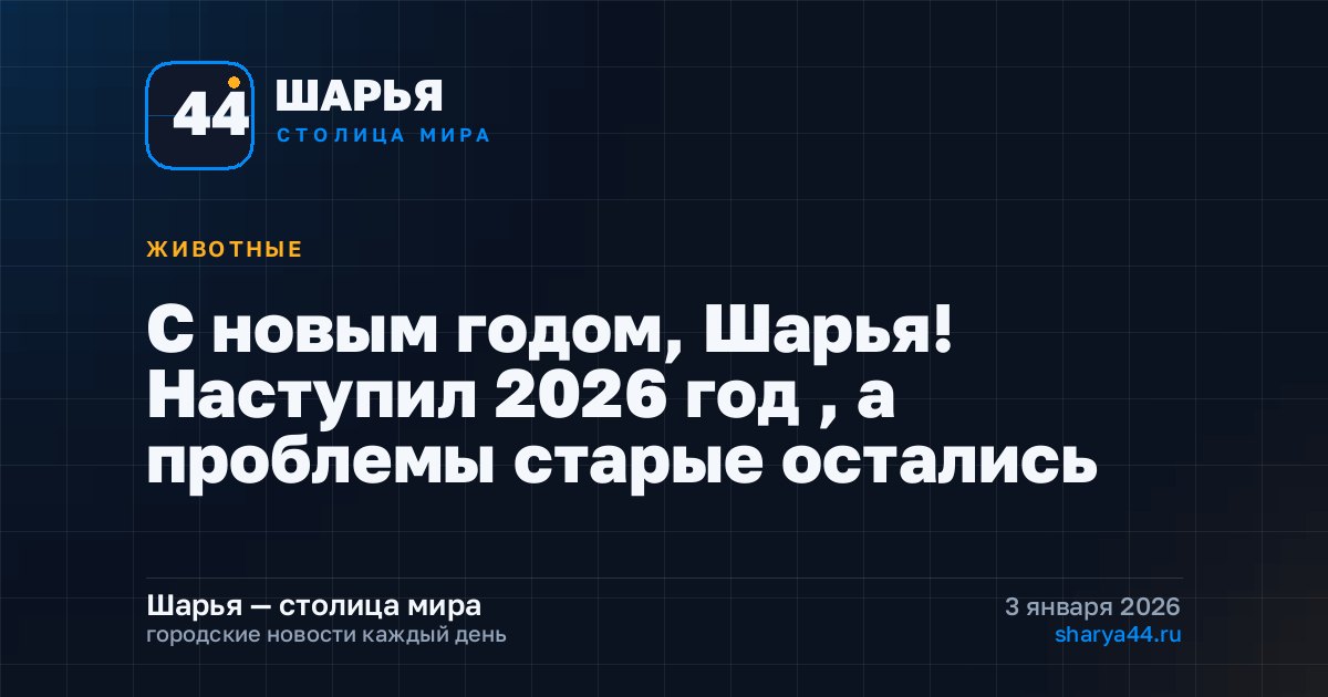 С новым годом, Шарья! Наступил 2026 год , а проблемы старые остались