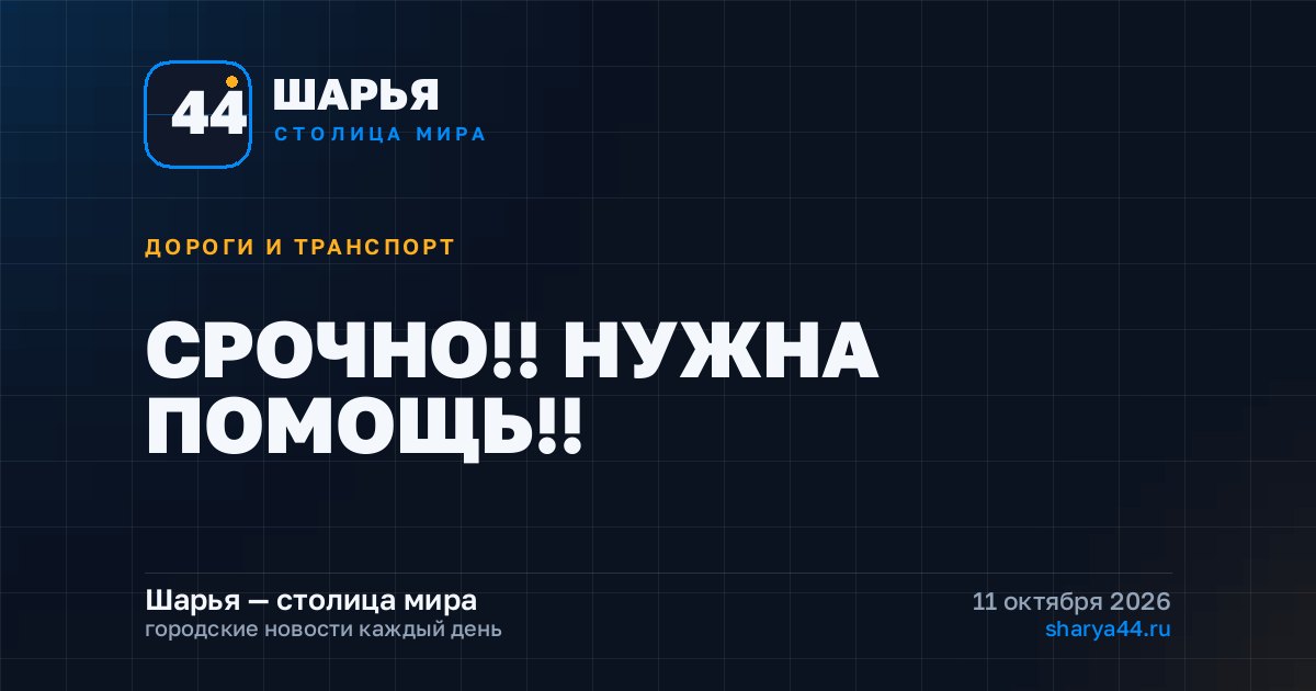 СРОЧНО!! НУЖНА ПОМОЩЬ!! — Шарья