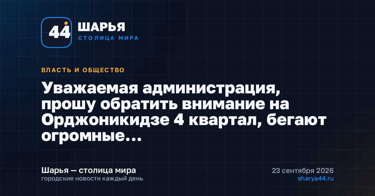 Уважаемая администрация, прошу обратить внимание на Орджоникидзе 4 квартал, бегают огромные… — Шарья