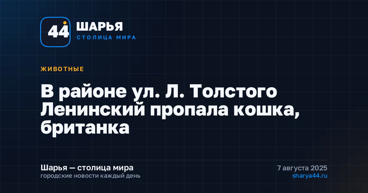 В районе ул. Л. Толстого Ленинский пропала кошка, британка — Шарья