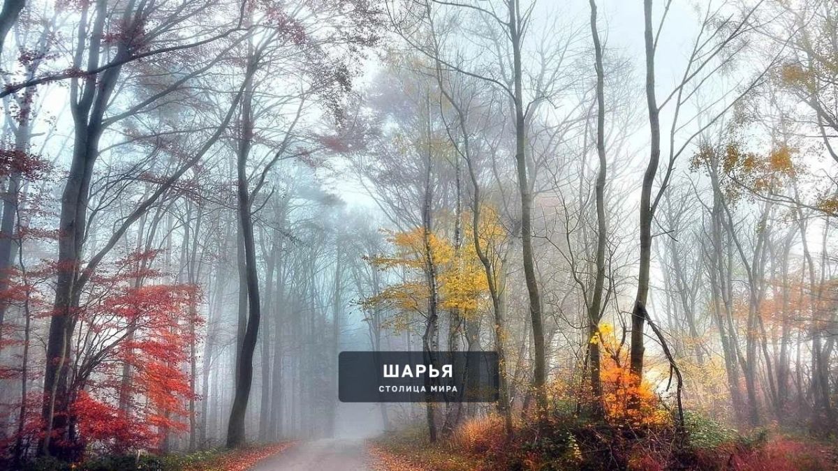 Согласно прогнозам погоды, на Покров снега можно не ждать — Шарья