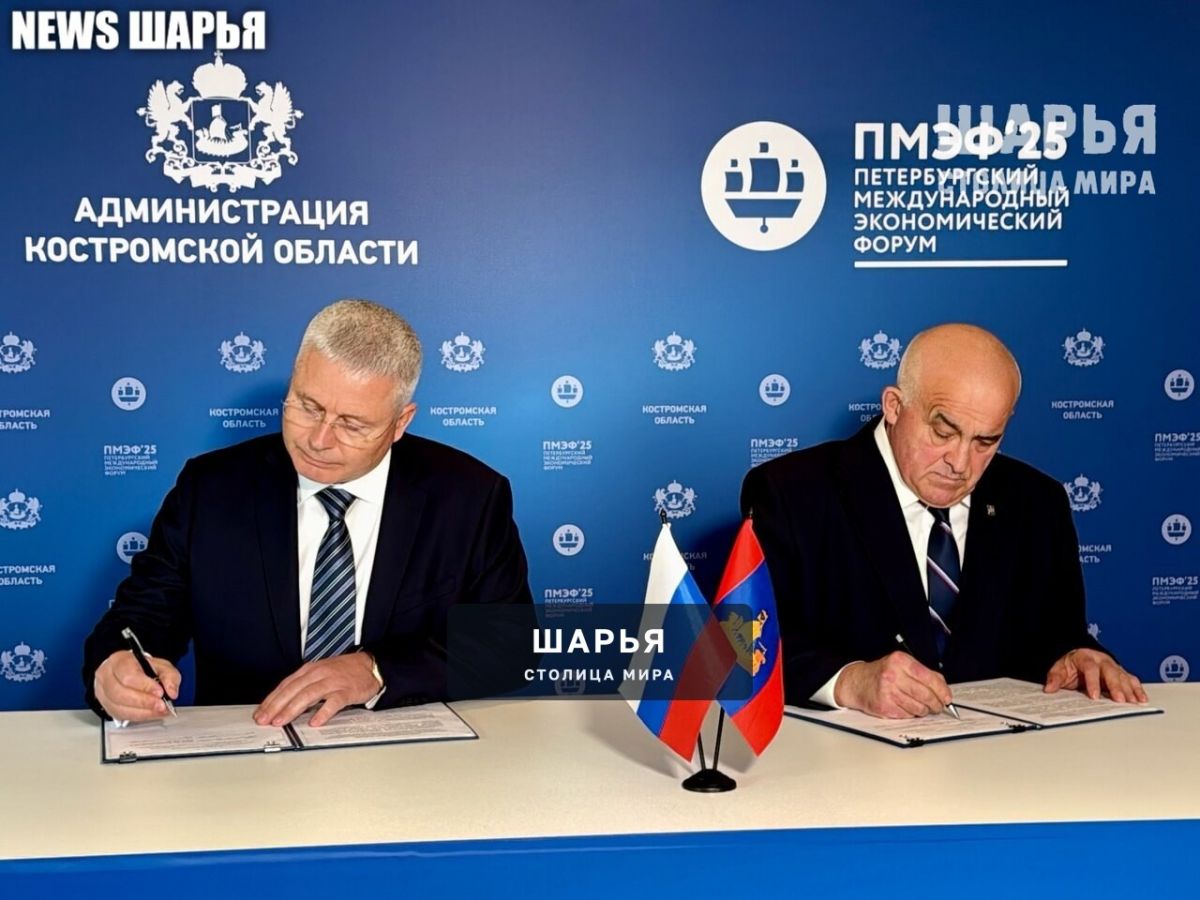 Соглашение подписано - заводу по производству березового шпона быть — Шарья