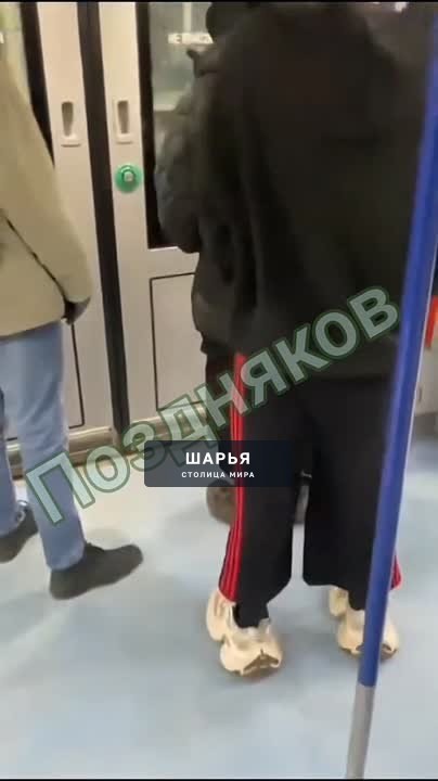 Что у них за направление? — Шарья