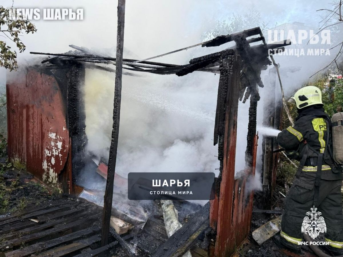 Шарья в сводке не значится