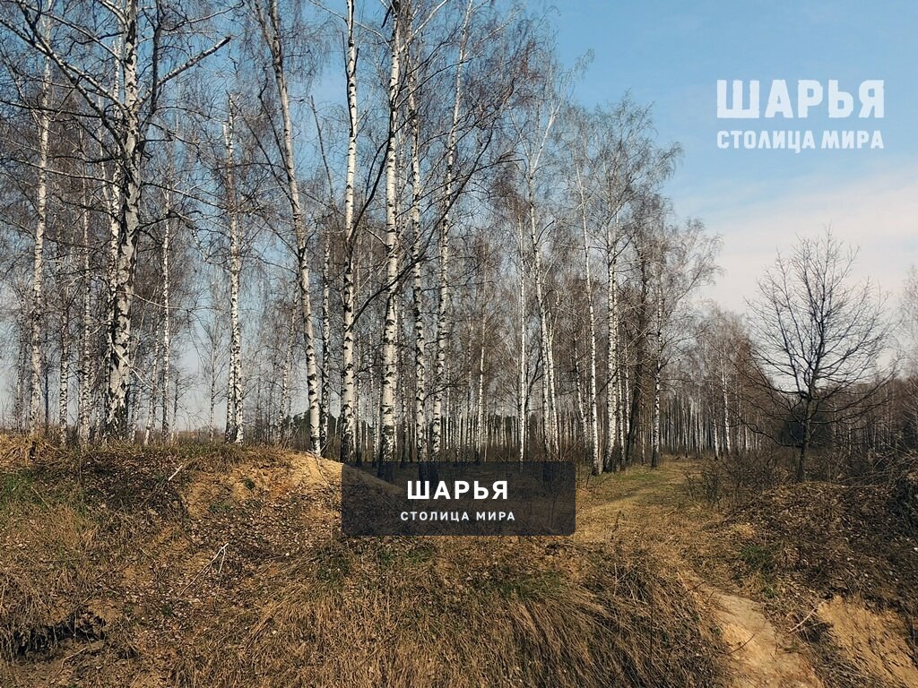 Региональные власти обсудили наступившее резкое потепление — Шарья