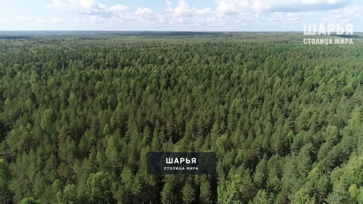В Костромской области отменен особый противопожарный режим — Шарья