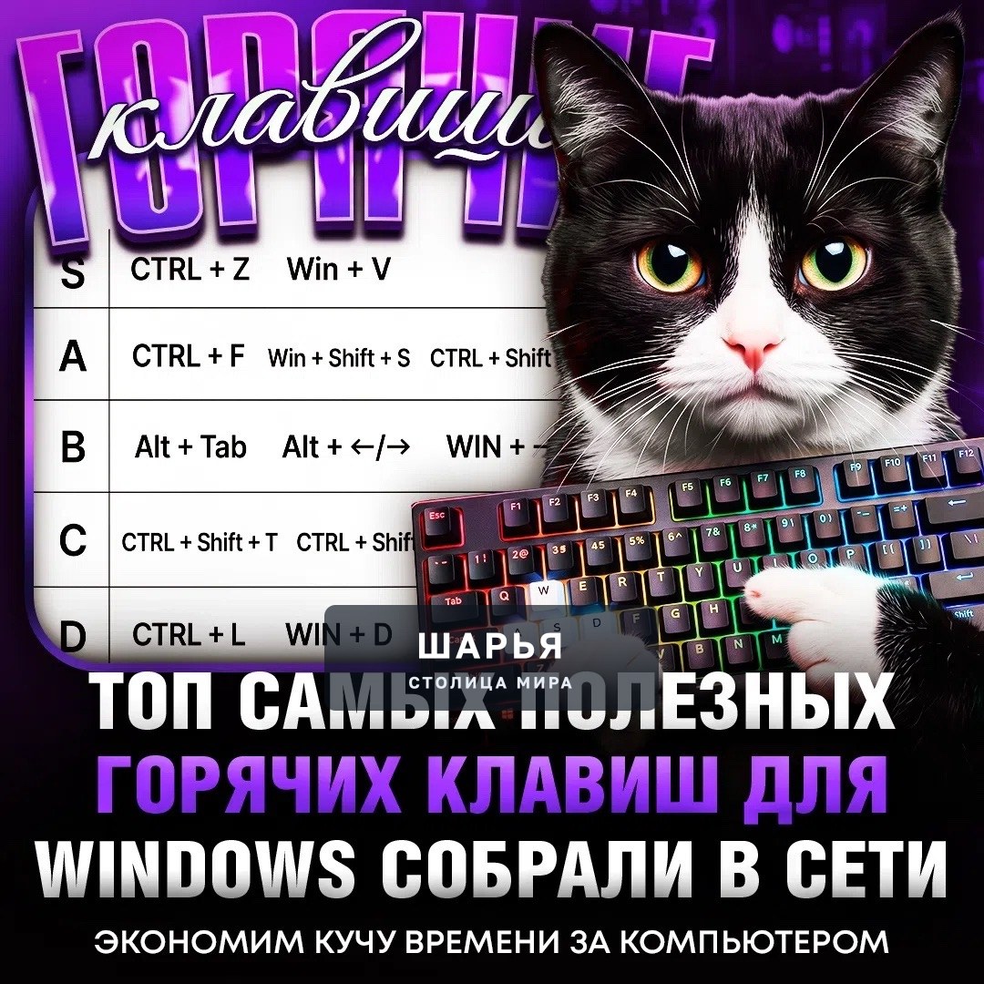 Топ САМЫХ ПОЛЕЗНЫХ горячих клавиш для Windows — подборку сочетаний клавиш, которые помогут… — Шарья