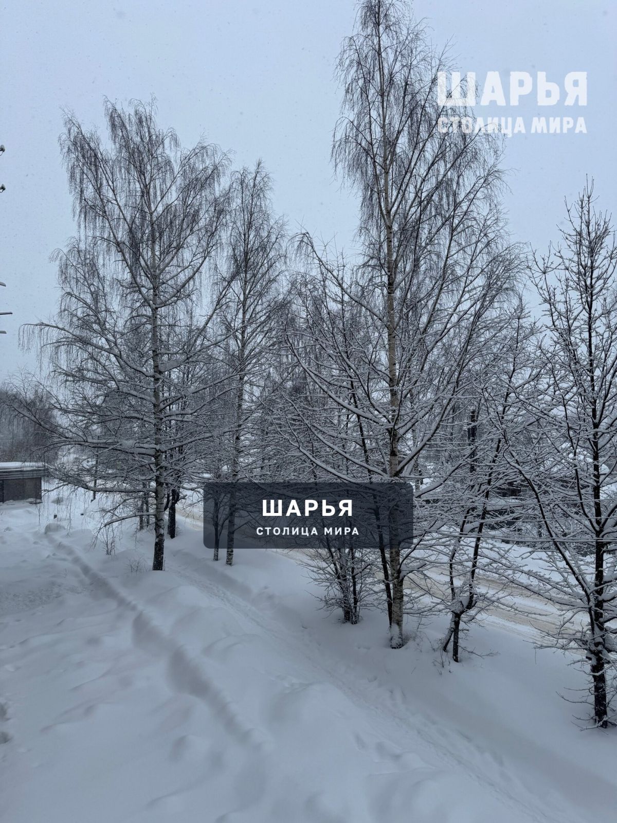 А снег идет, а снег идет — Шарья