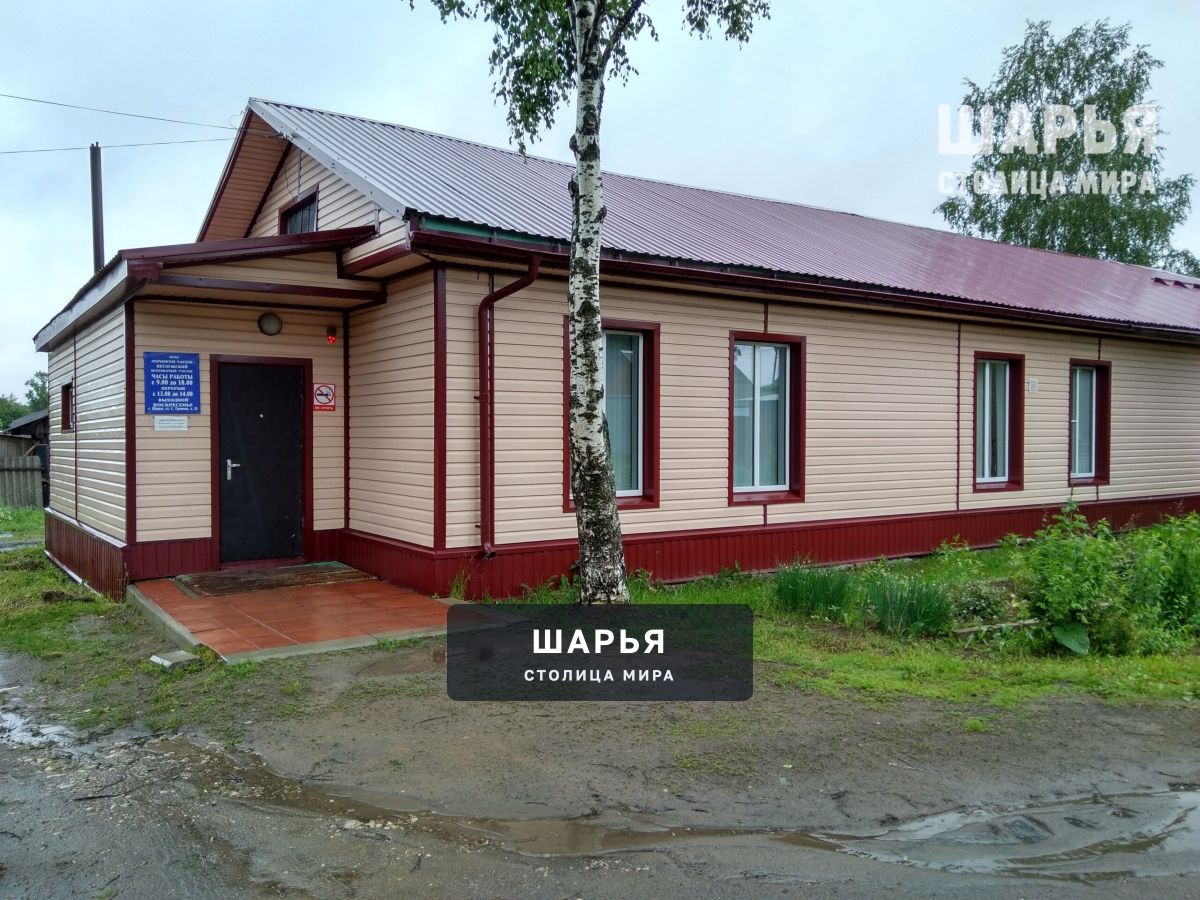 В главном городском сообществе "Шарья – столица мира" владельцы кота рассказывают о…