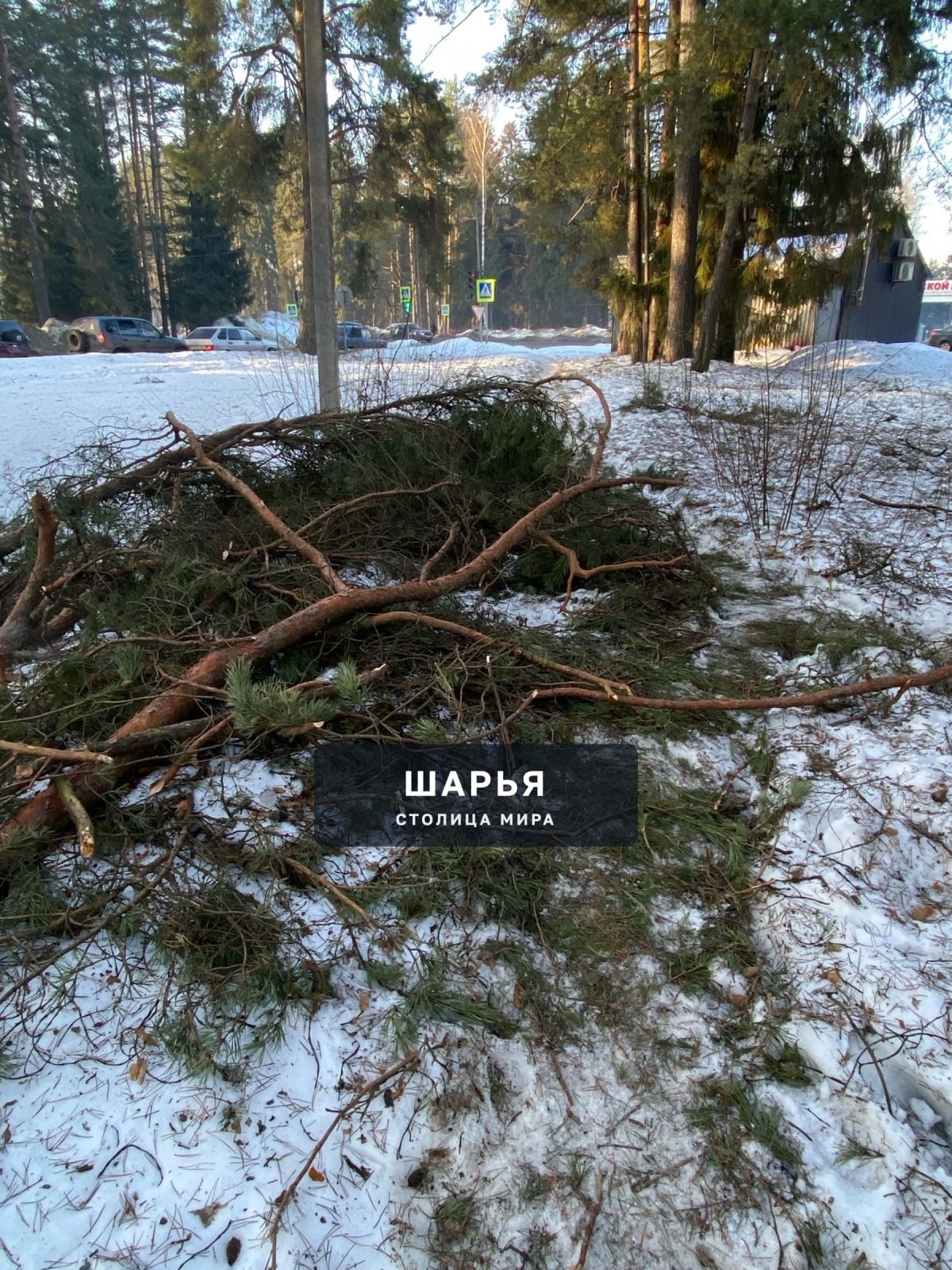 Добрый день, хочу обратиться к администрации города Шарьи — Шарья