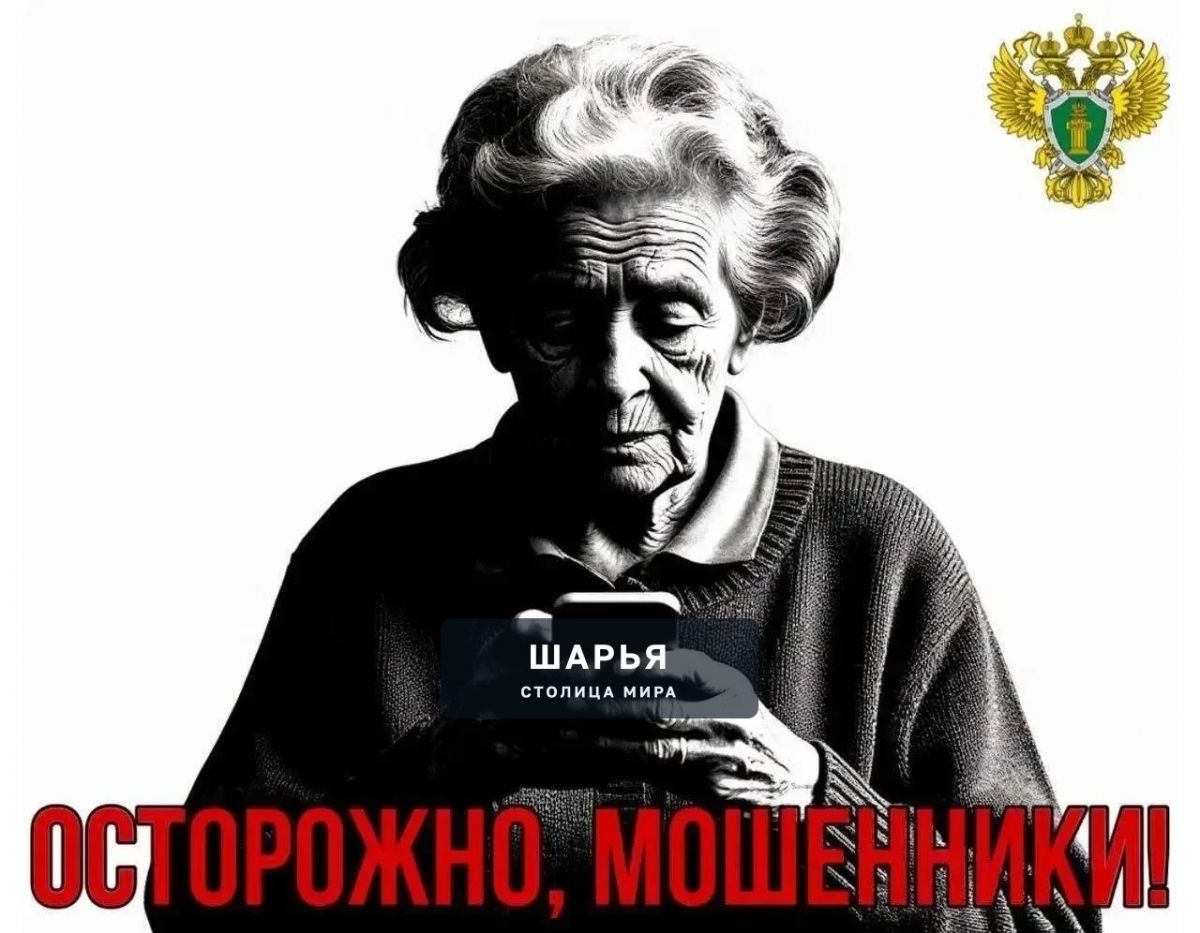 Еще с дюжину граждан попались на доверчивости — Шарья