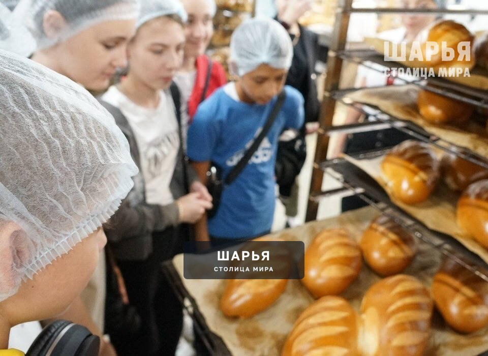 Костромская область вошла в ТОП-3 по работе предприятий со школьниками и студентами — Шарья