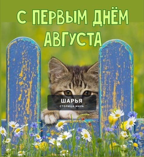 С первым днем последнего летнего месяца! — Шарья