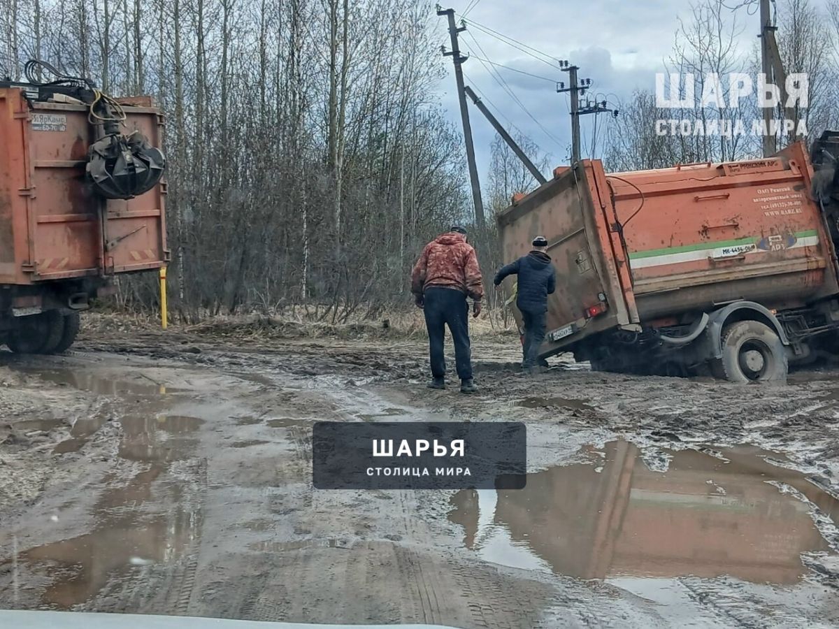Тянем потянем, вытянуть не можем — Шарья
