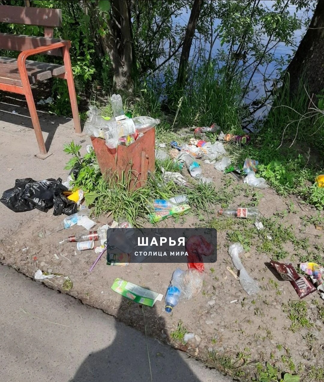 На пруду рядом с "тропой здоровья " на улице Ленина обитают утки — Шарья