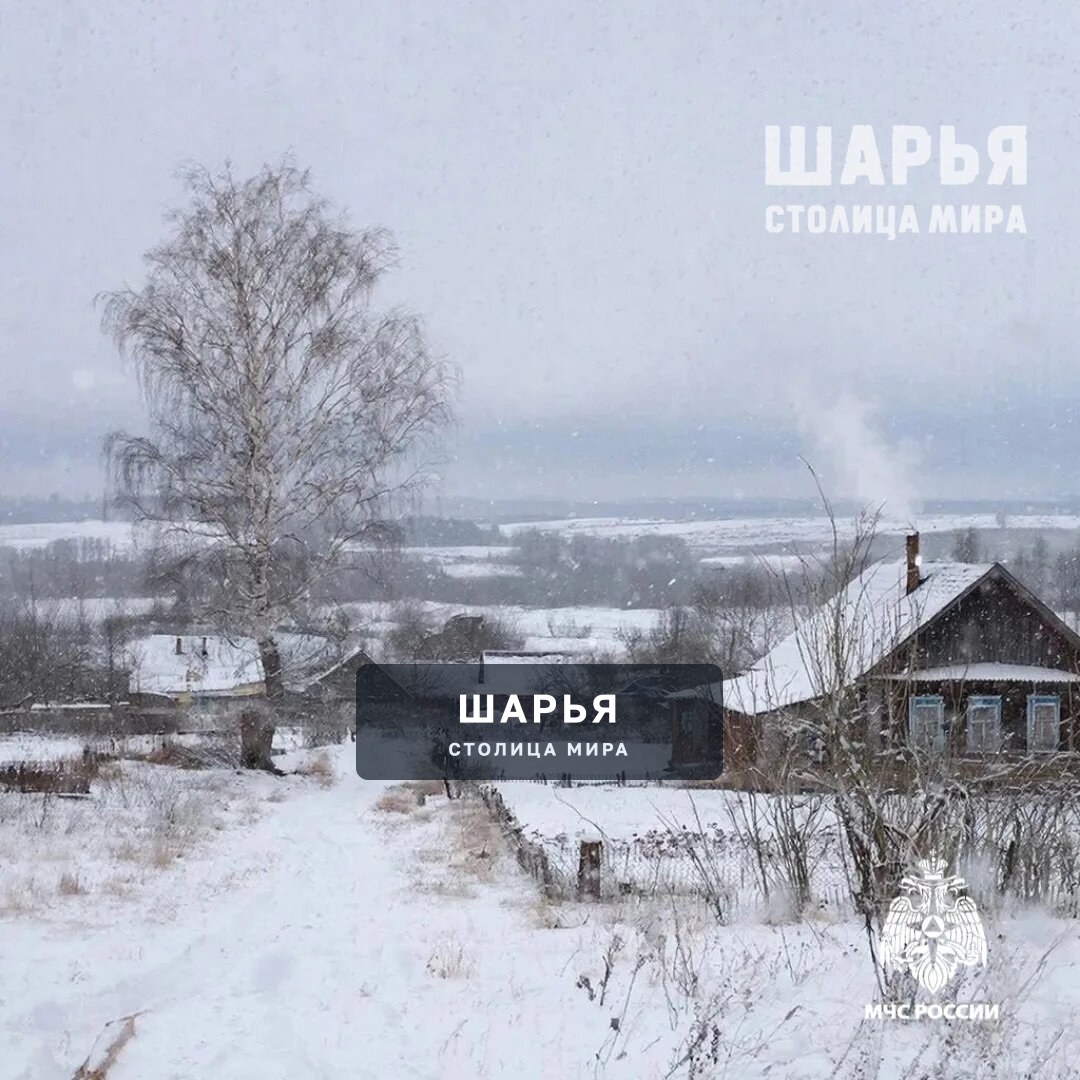 Сильный ветер, поднявшийся сегодня, не утихнет и в праздничный воскресный день — Шарья