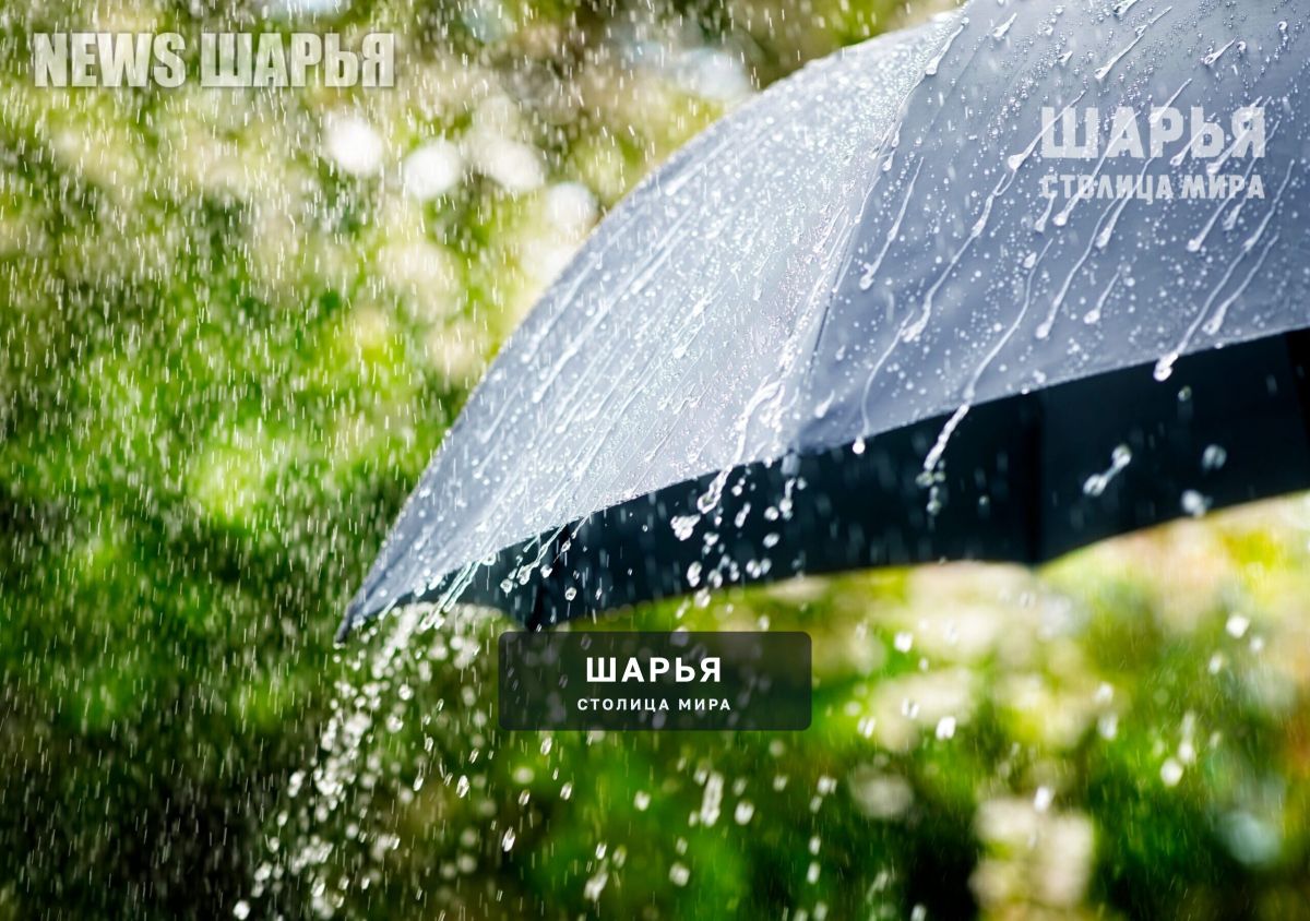Шарью ждут дождливые и холодные выходные — Шарья