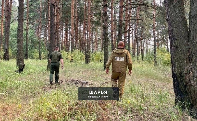 В Костромской области отменен особый противопожарный режим — Шарья