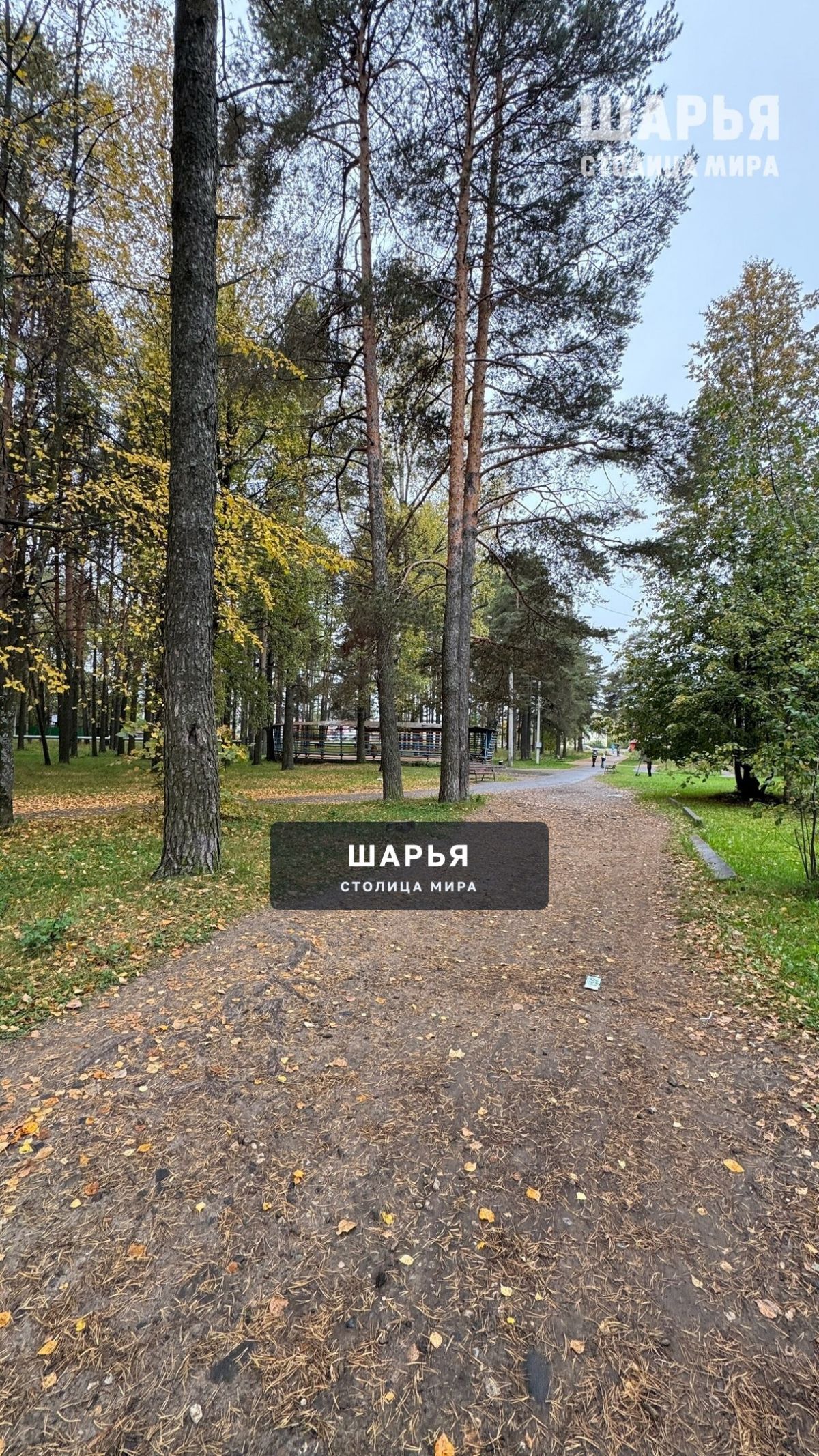 П. Ветлужский — Шарья