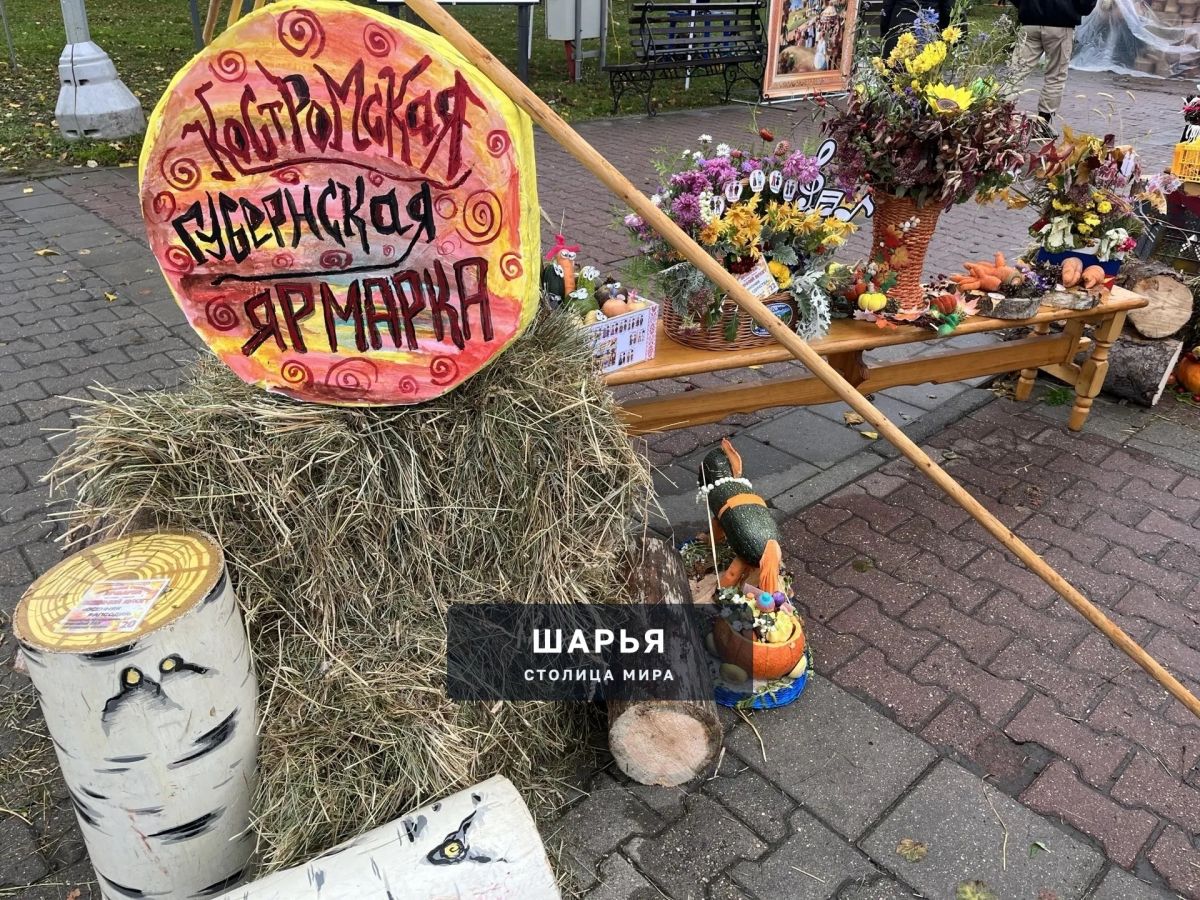 Губернская ярмарка собрала в центре Костромы все муниципалитеты — Шарья