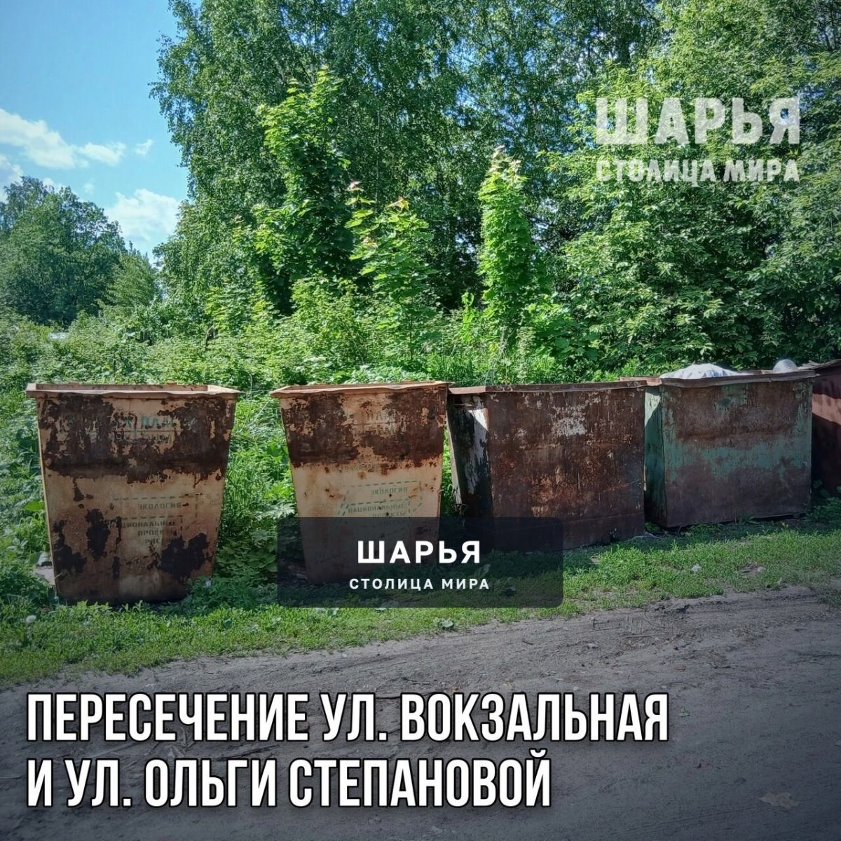 Активные общественники Шарьи ликвидировали проблему мусорных площадок — Шарья