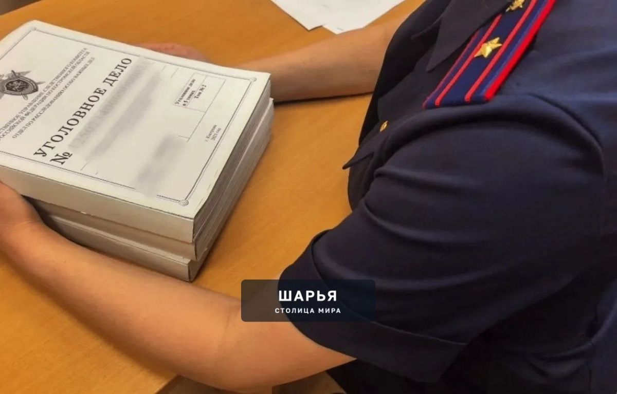 Юный дроппер из Костромской области предстанет перед судом — Шарья
