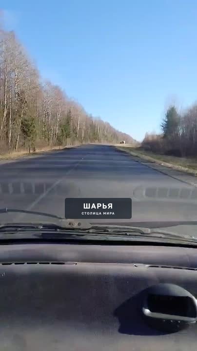 Дорога от Шарьинского моста до посёлка Зебляки — в аварийно‑опасном состоянии — Шарья