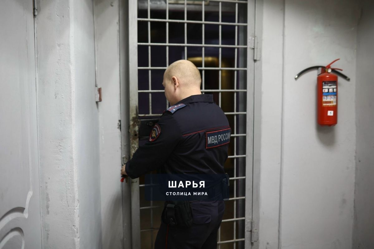 Шарьинские полицейские задержали подозреваемого в мошенничестве — Шарья