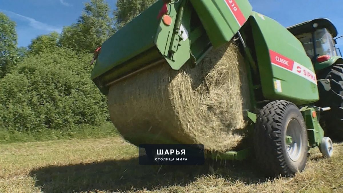 Буренки будут сыты — Шарья