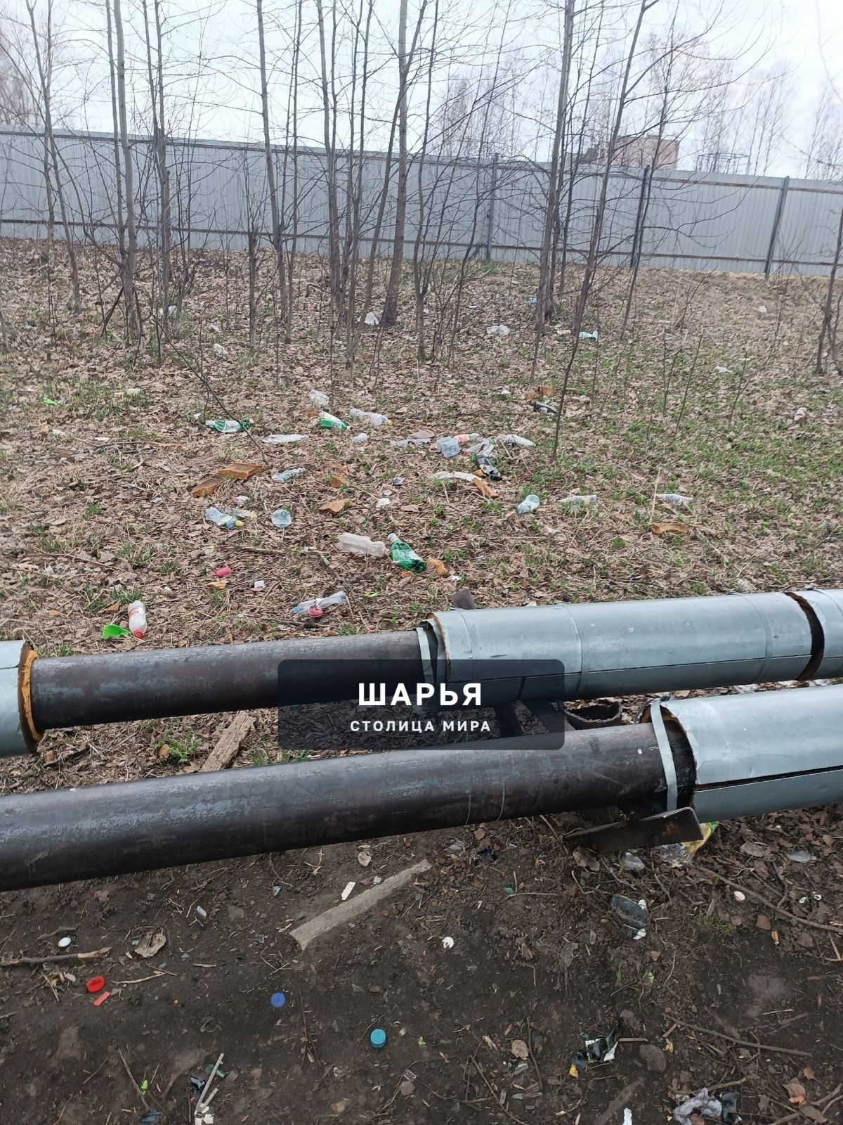 Хотелось бы обратить внимание на ,,экологическую проблему,,нашего микрорайона — Шарья
