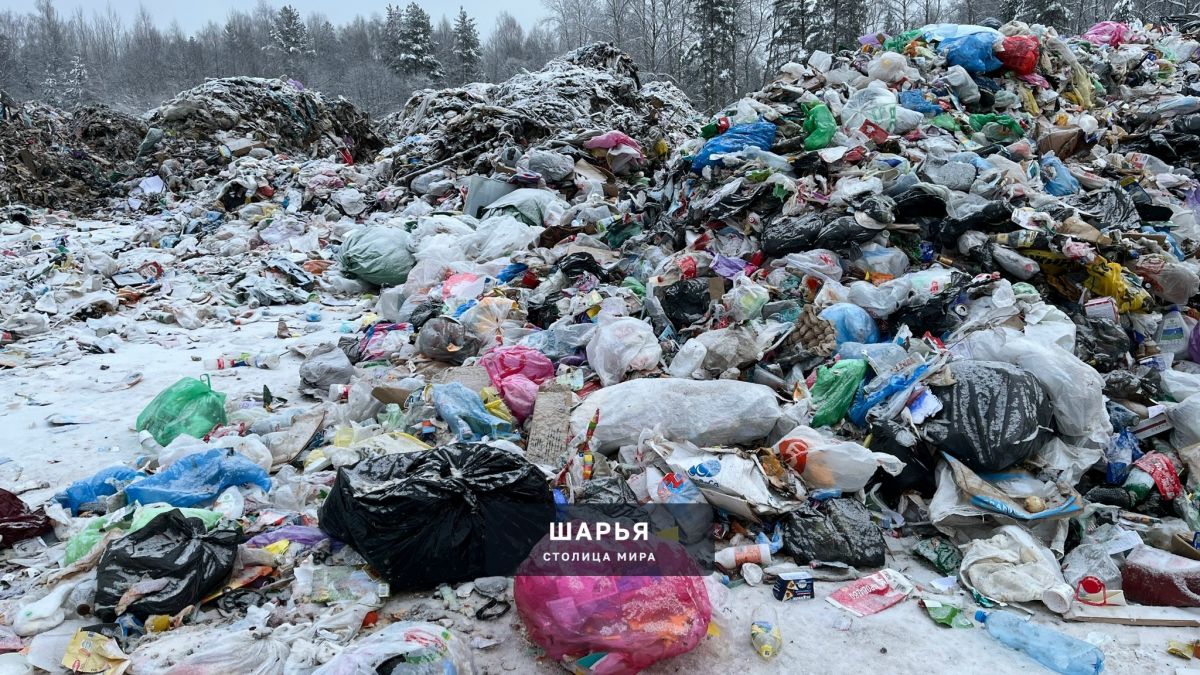 На прошлой неделе мы побывали на том месте, где расположилась так называемая «площадка для… — Шарья