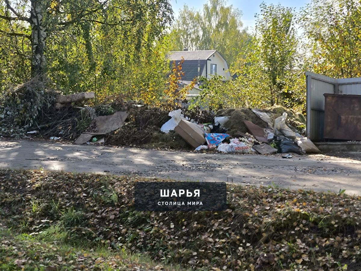 Не вывозят мусор (свалка) ул. Полярников, перекрёсток ул. Суворова 3 недели, уже жутко воняет — Шарья