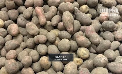 Цена на картофель для соцсферы снижена на 2 рубля — Шарья