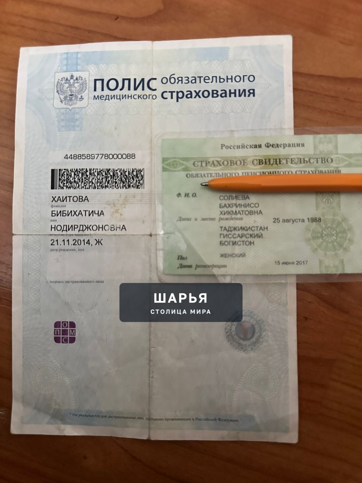 Найдены документы. Верну при предъявлении паспорта — Шарья