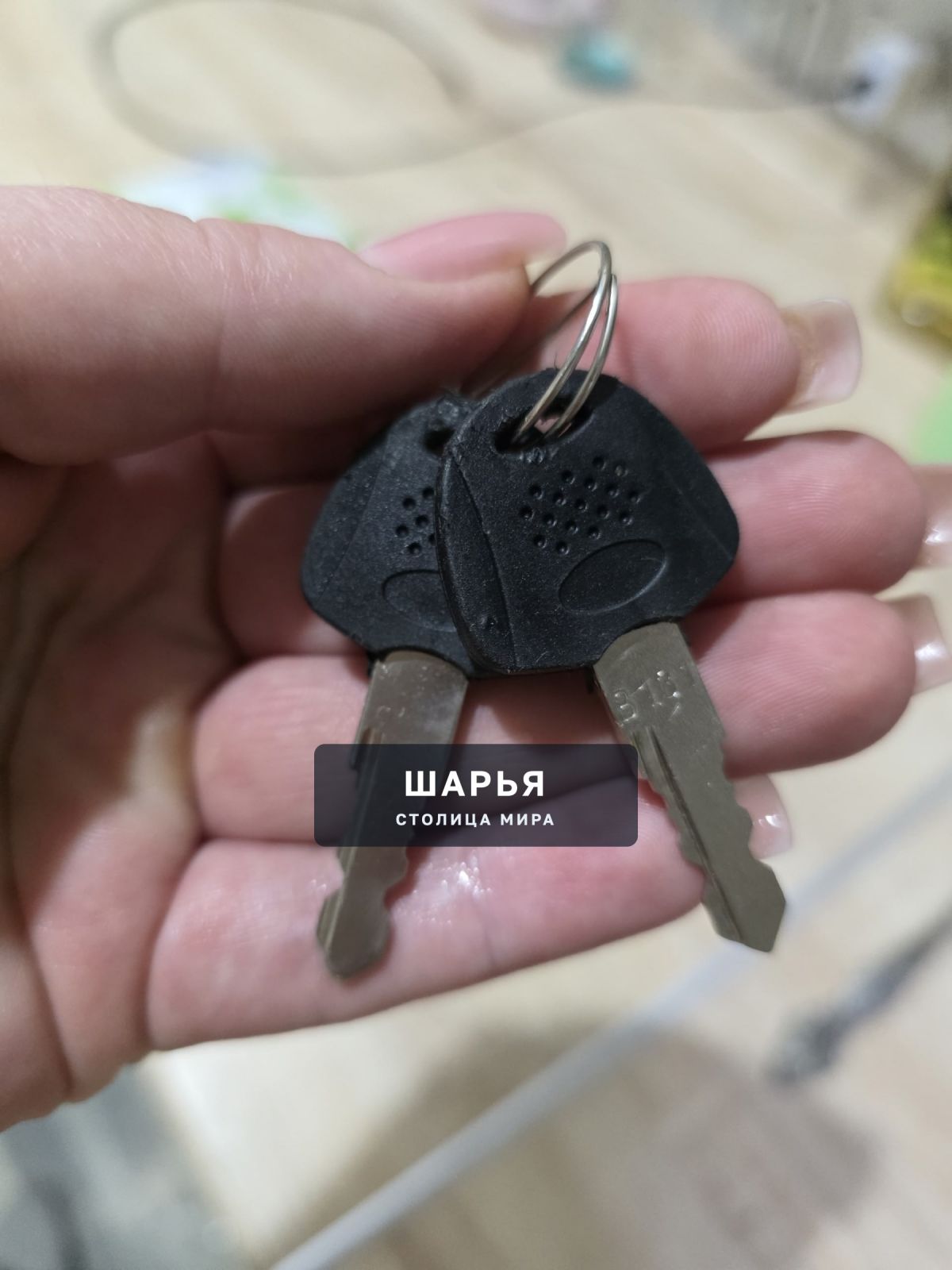Найдены ключи , дск — Шарья