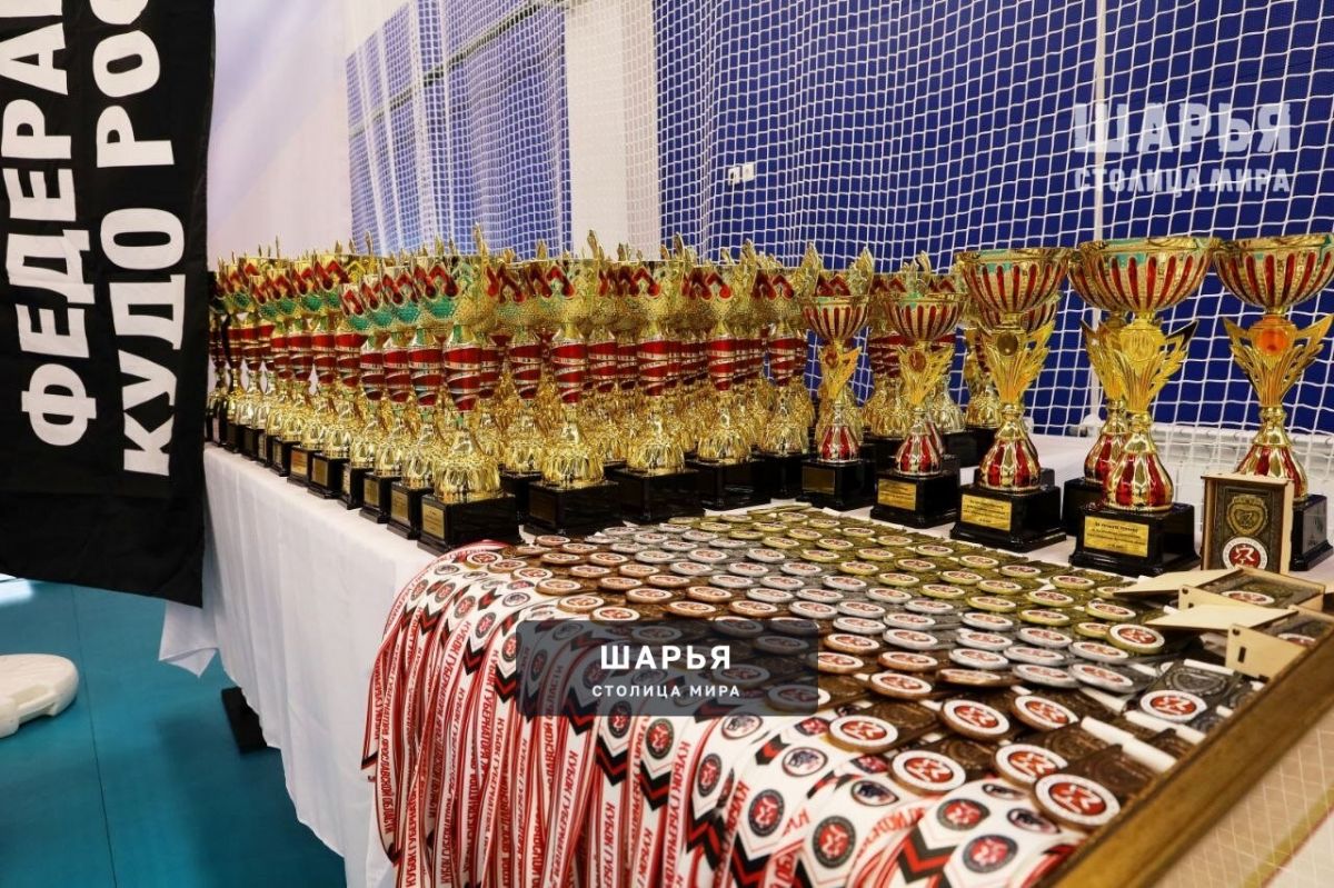 Шарьинцы боролись за Кубок губернатора по кудо — Шарья