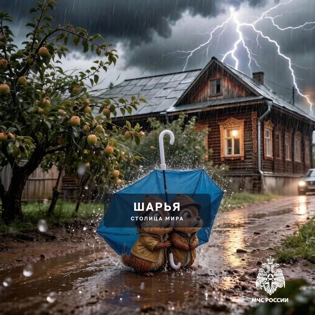 Нас снова ожидает гроза и сильный дождь — Шарья