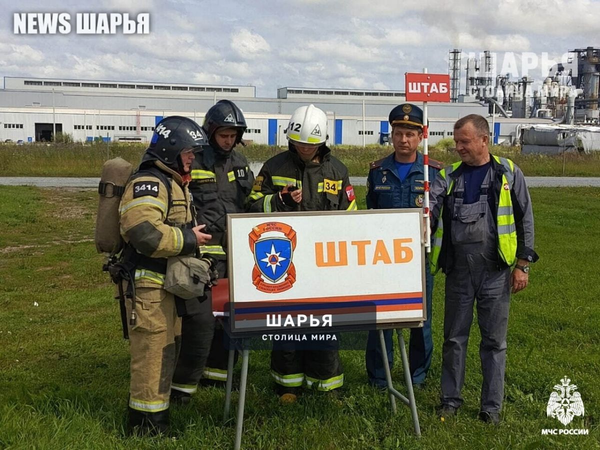 В Шарье на одной из лесопилок загорелся штабель круглого леса — Шарья