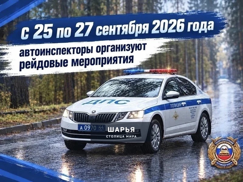 Автоинспекторы проведут рейды в предстоящие выходные — Шарья