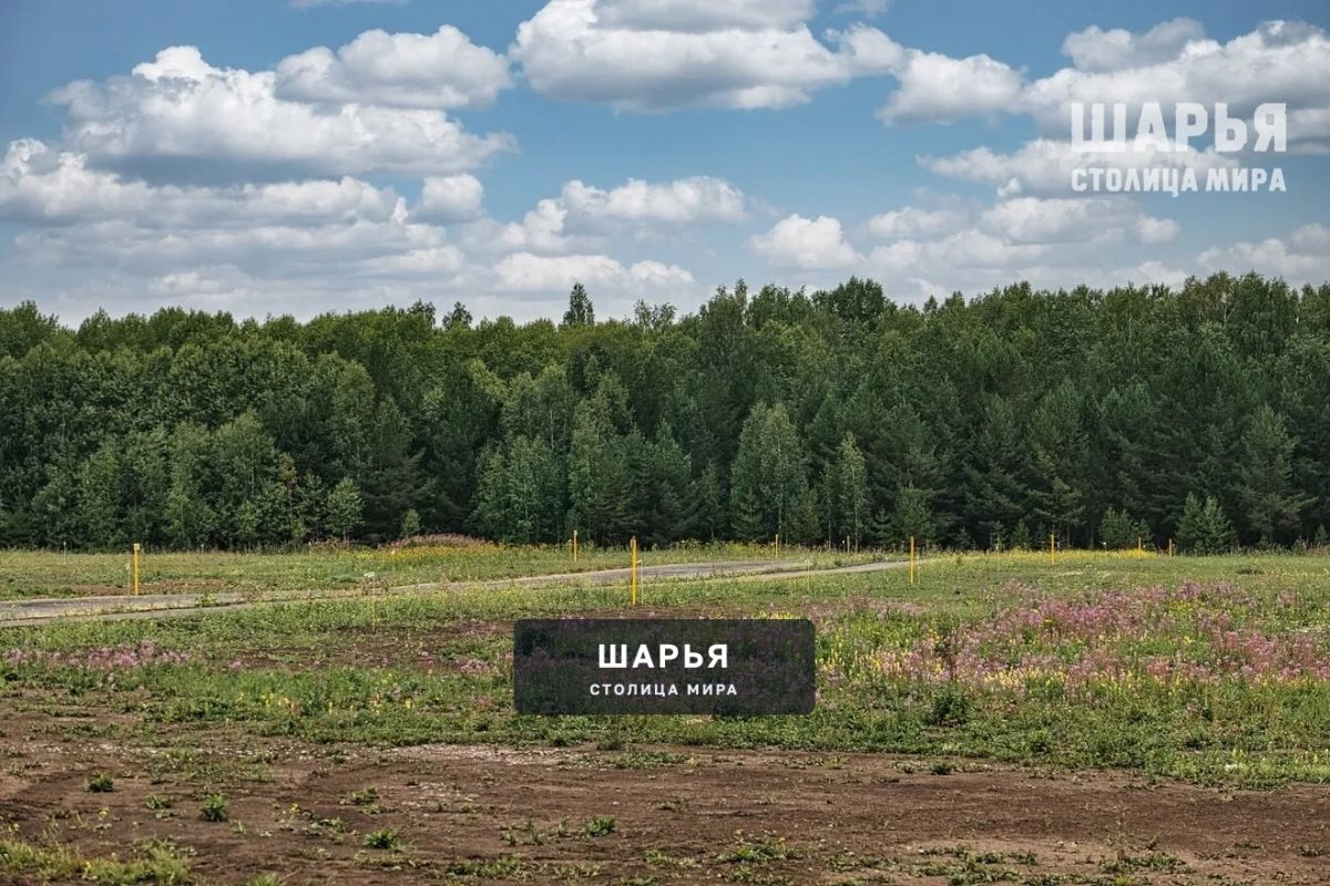 Более 40 гектаров земли Шарьинский район подготовил под овощные наделы для жителей — Шарья