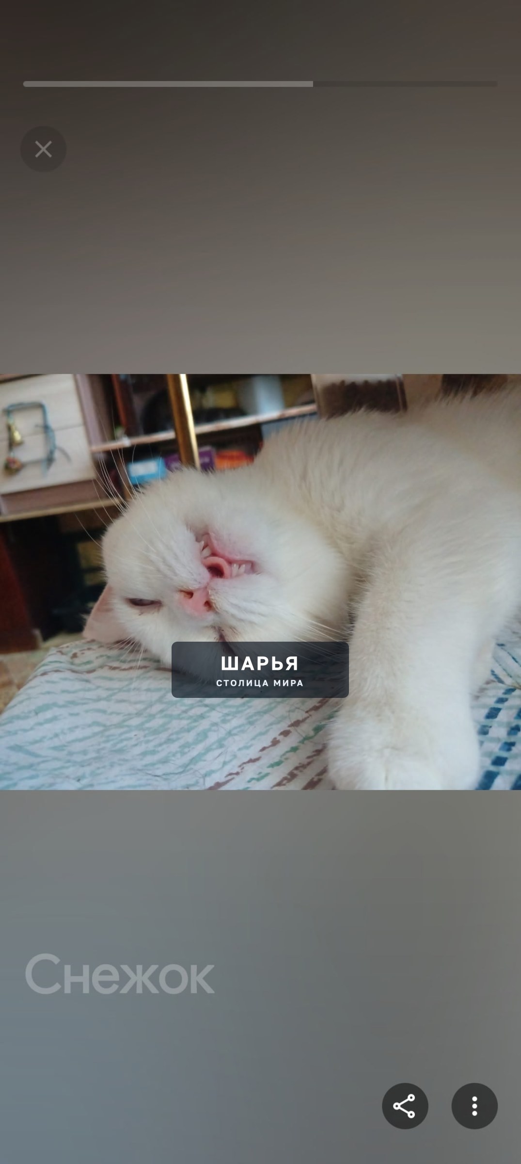 Шарья, улица Рабочая, РЕПОСТ !
