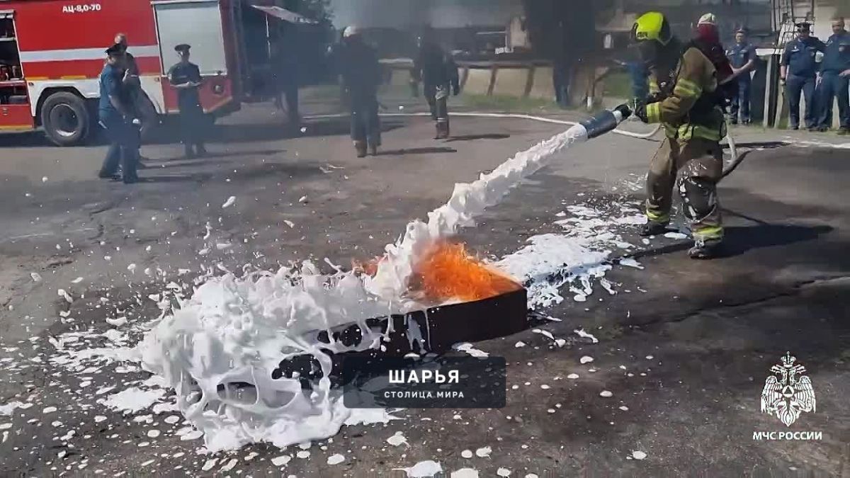 Шарьинцы в числе лучших газодымозащитников МЧС России области — Шарья