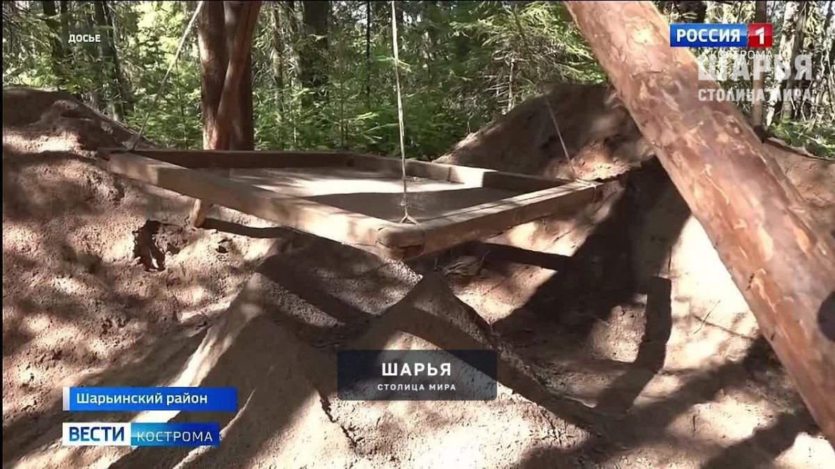 Шарьинский район раскрывает тайны древних цивилизаций — Шарья