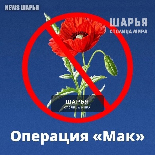 С 21 по 25 июля и с 25 по 30 августа внимание сотрудников управления по контролю за оборотом… — Шарья