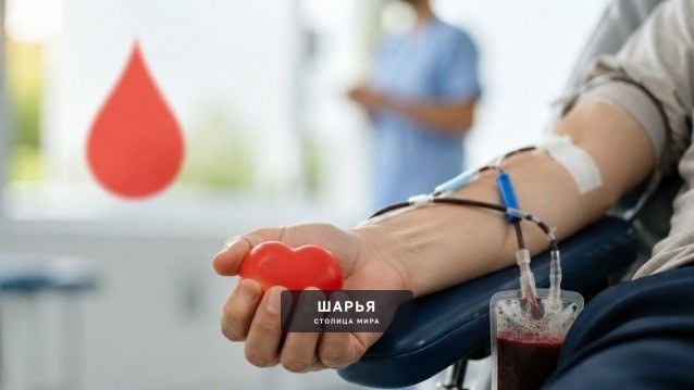 Донорам рассказали о новых правилах допуска к сдаче крови — Шарья