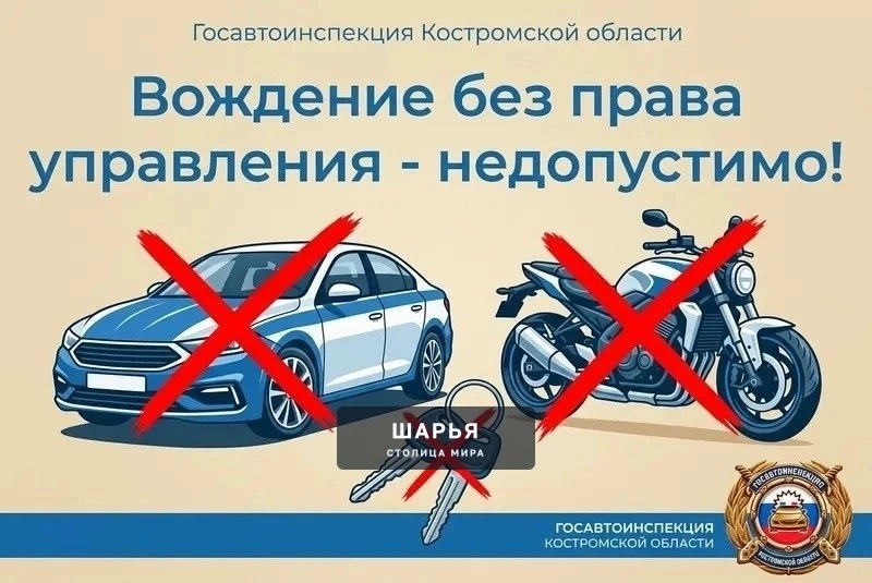 За каждым 7-м ДТП с пострадавшими стоят водители, не имеющие права управления транспортом — Шарья