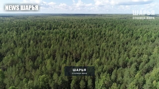 В регионе отменен особый противопожарный режим — Шарья
