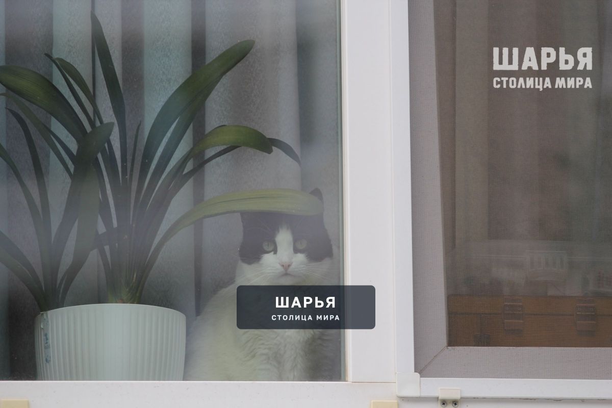 Осень передает привет от зимы — Шарья