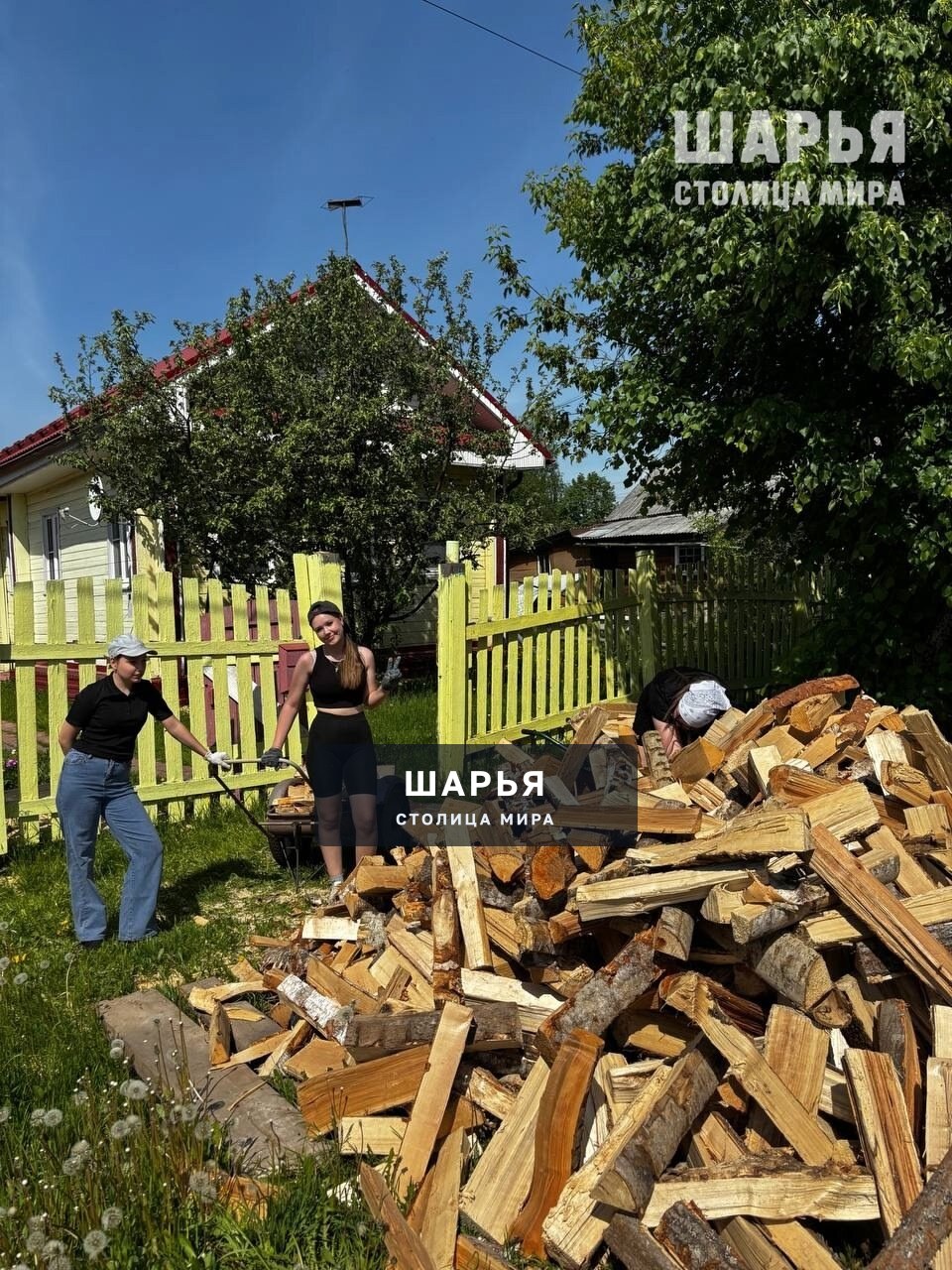 Молодежь Шарьи безвозмездно оказывают поддержку землякам — Шарья