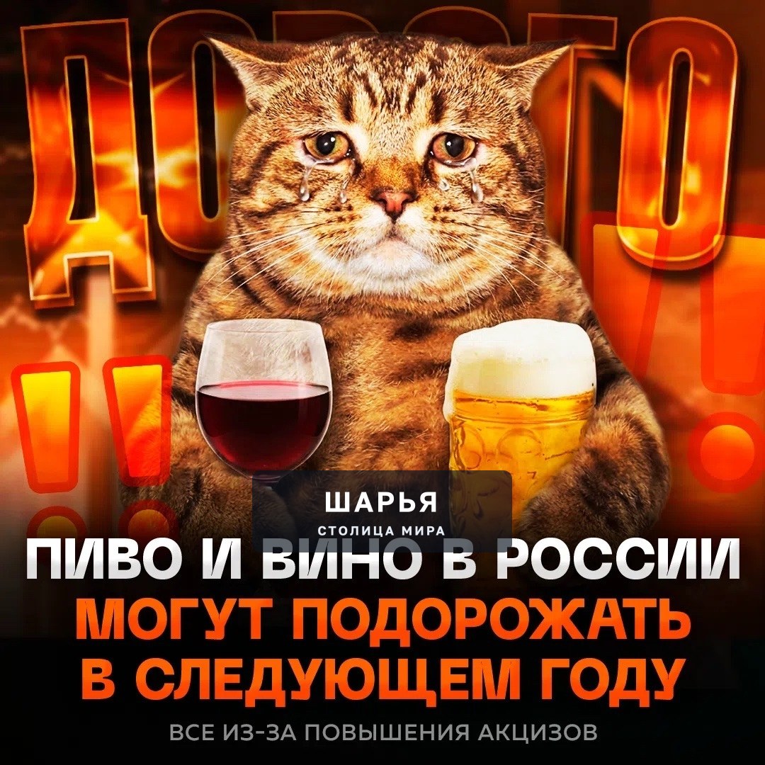 Пиво и вино в России РЕЗКО ПОДОРОЖАЮТ с нового года — с 1 января вырастут акцизы на алкоголь — Шарья